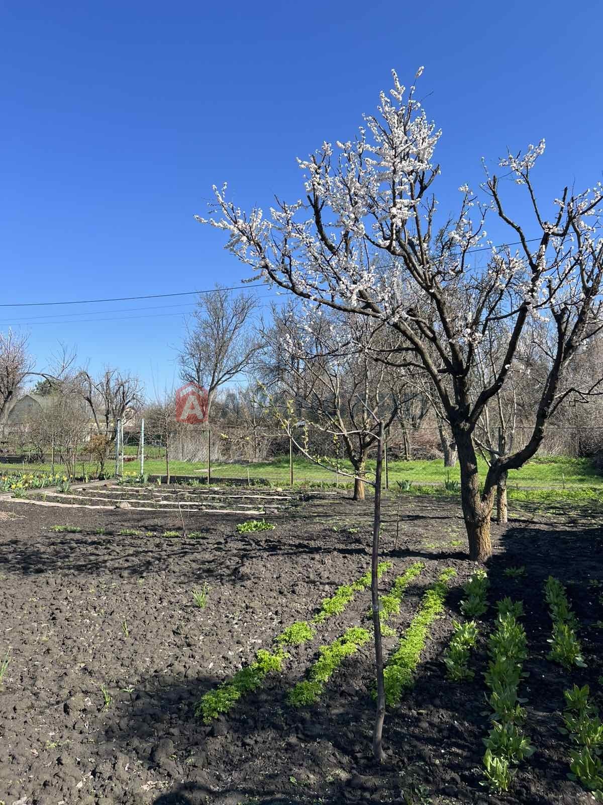 ����, 15 ��.�. ���� 16