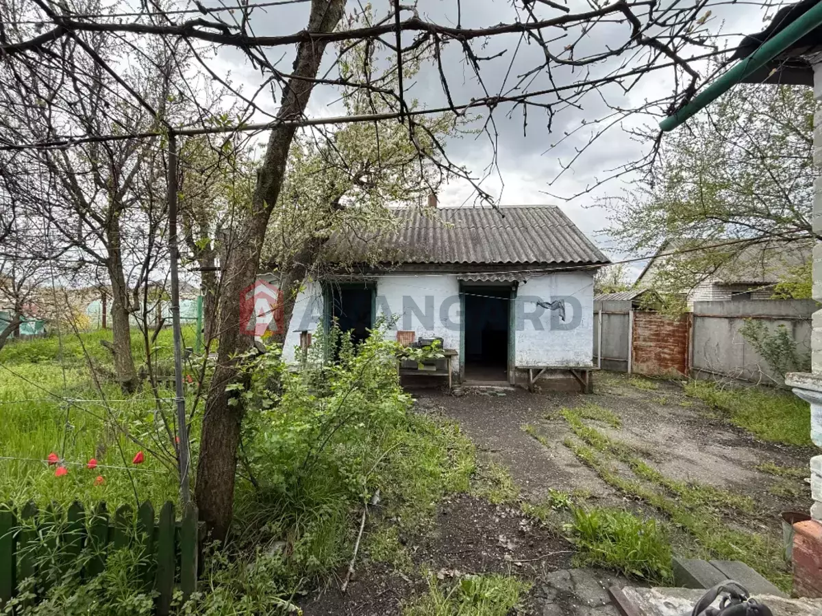 �������, 50 ��.�. ���� 7