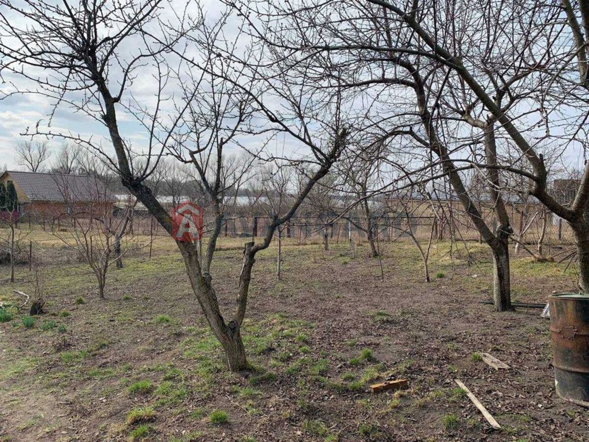 �������, 70 ��.�. ���� 10