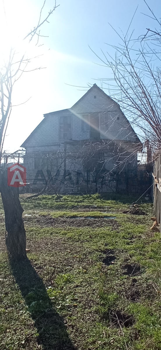 ����, 50 ��.�. ���� 2