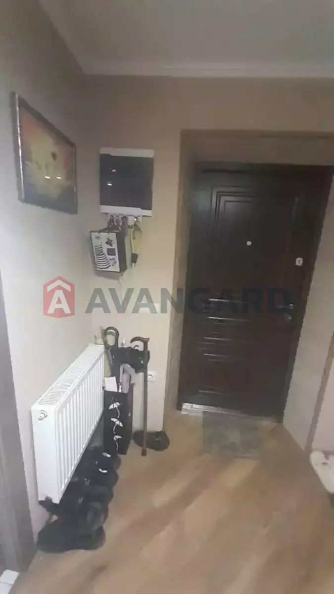 �������, 80 ��.�. ���� 8