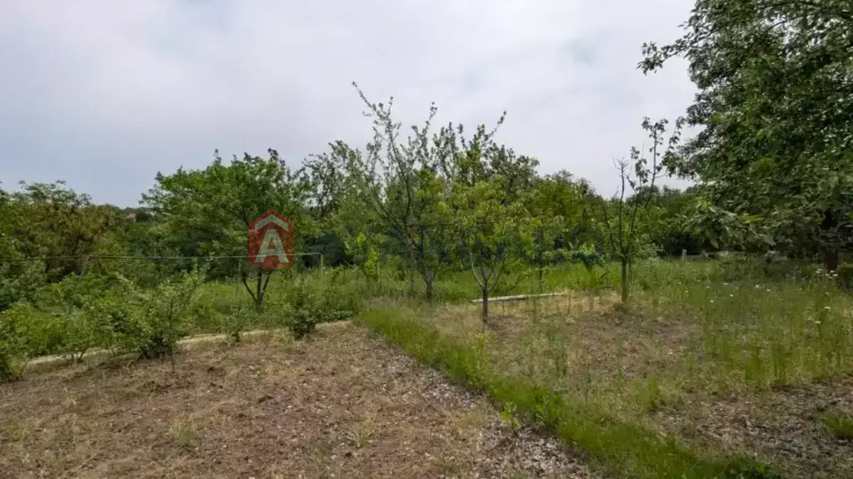 ����, 29 ��.�. ���� 17