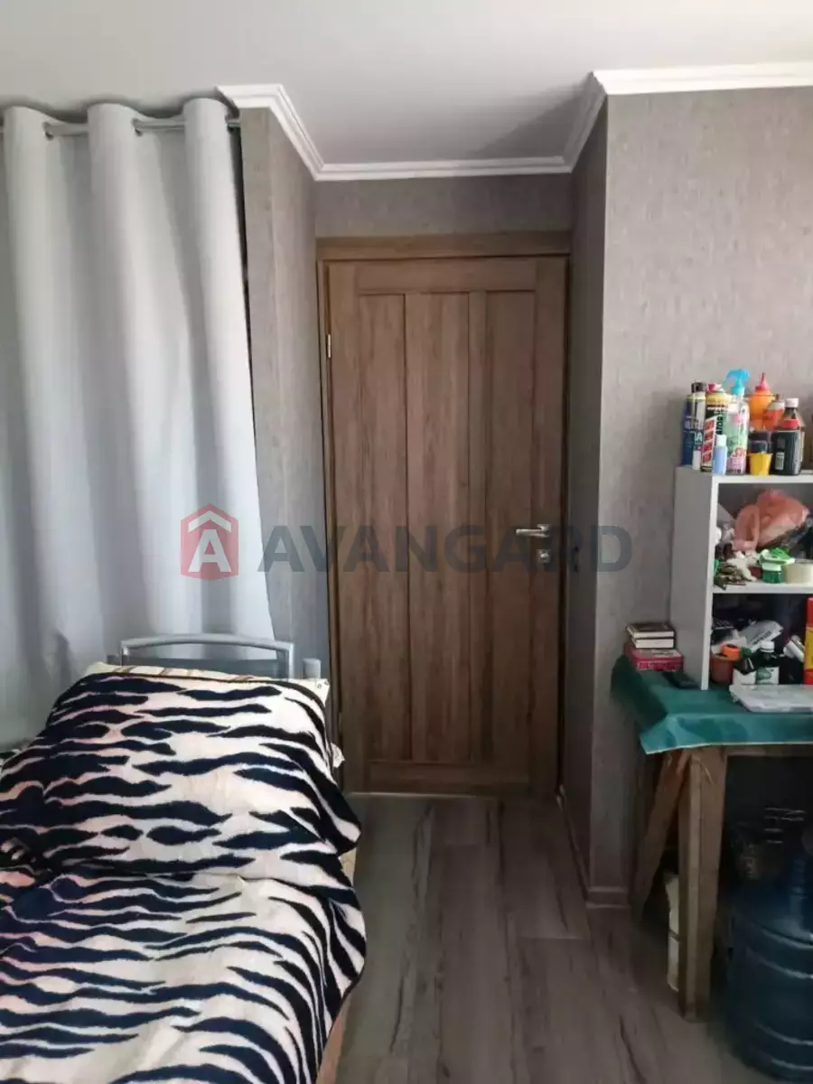 �������, 80 ��.�. ���� 17