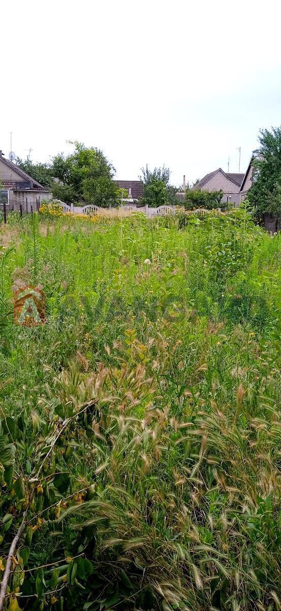 �������, 50 ��.�. ���� 12