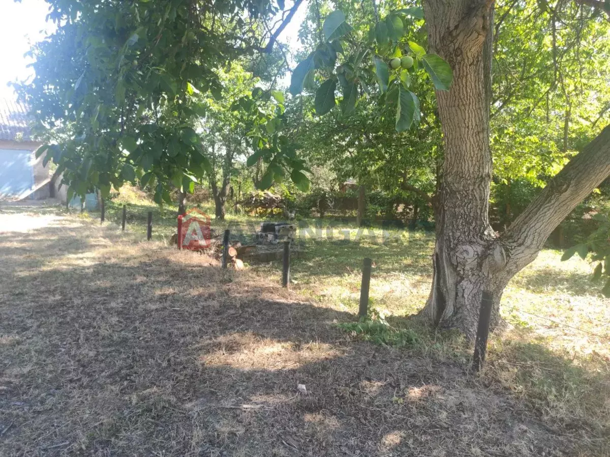 ����, 60 ��.�. ���� 2