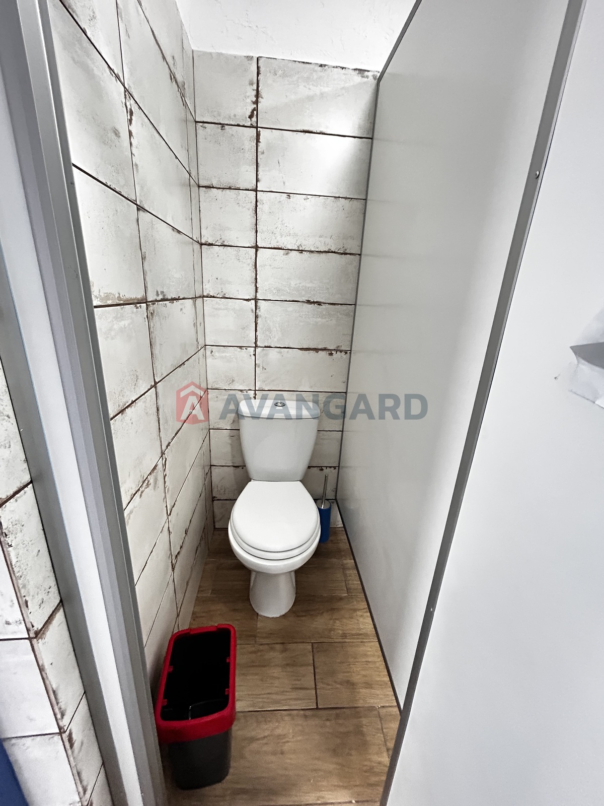 �������, 81 ��.�. ���� 20