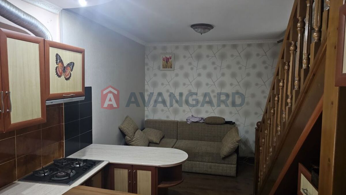 �������, 49 ��.�. ���� 5