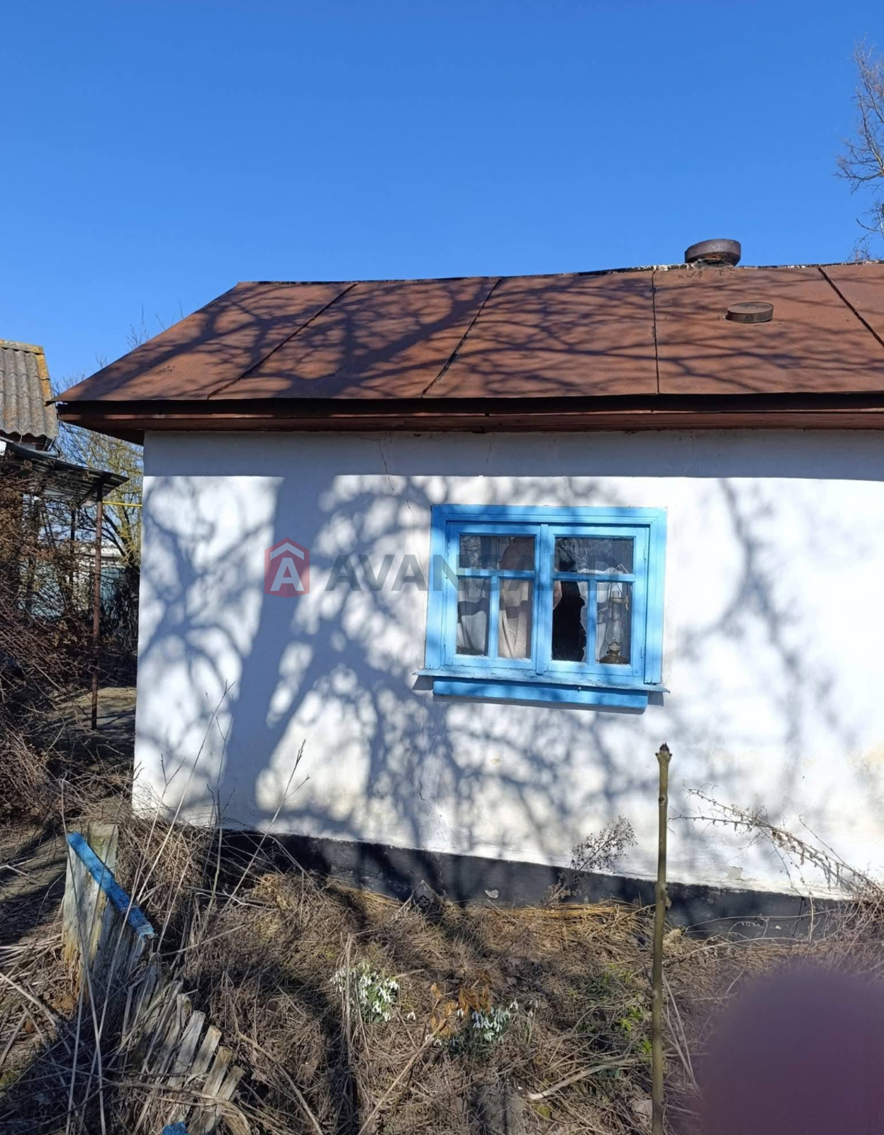 �������, 79 ��.�. ���� 4