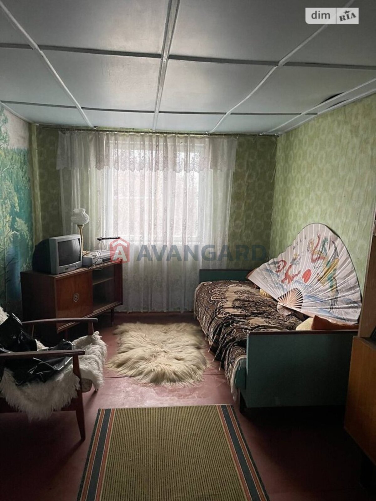 �������, 49 ��.�. ���� 19