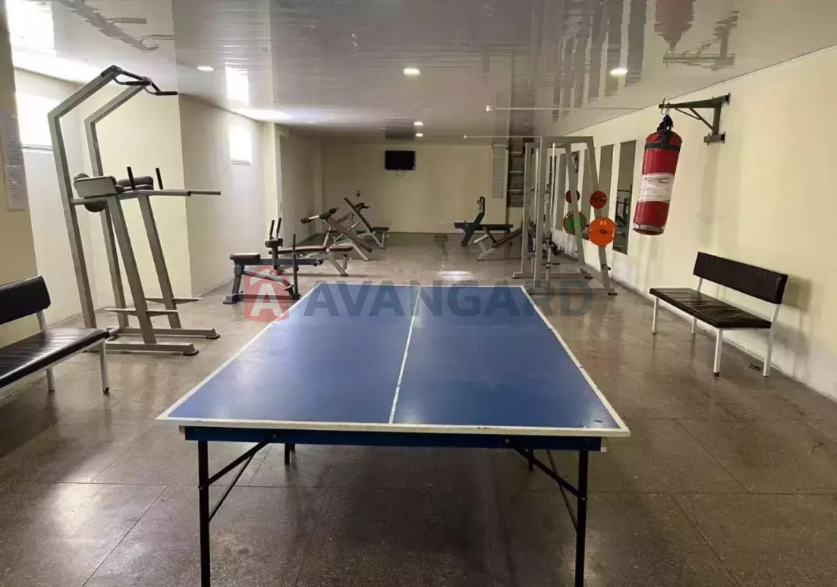 �������, 1150 ��.�. ���� 16