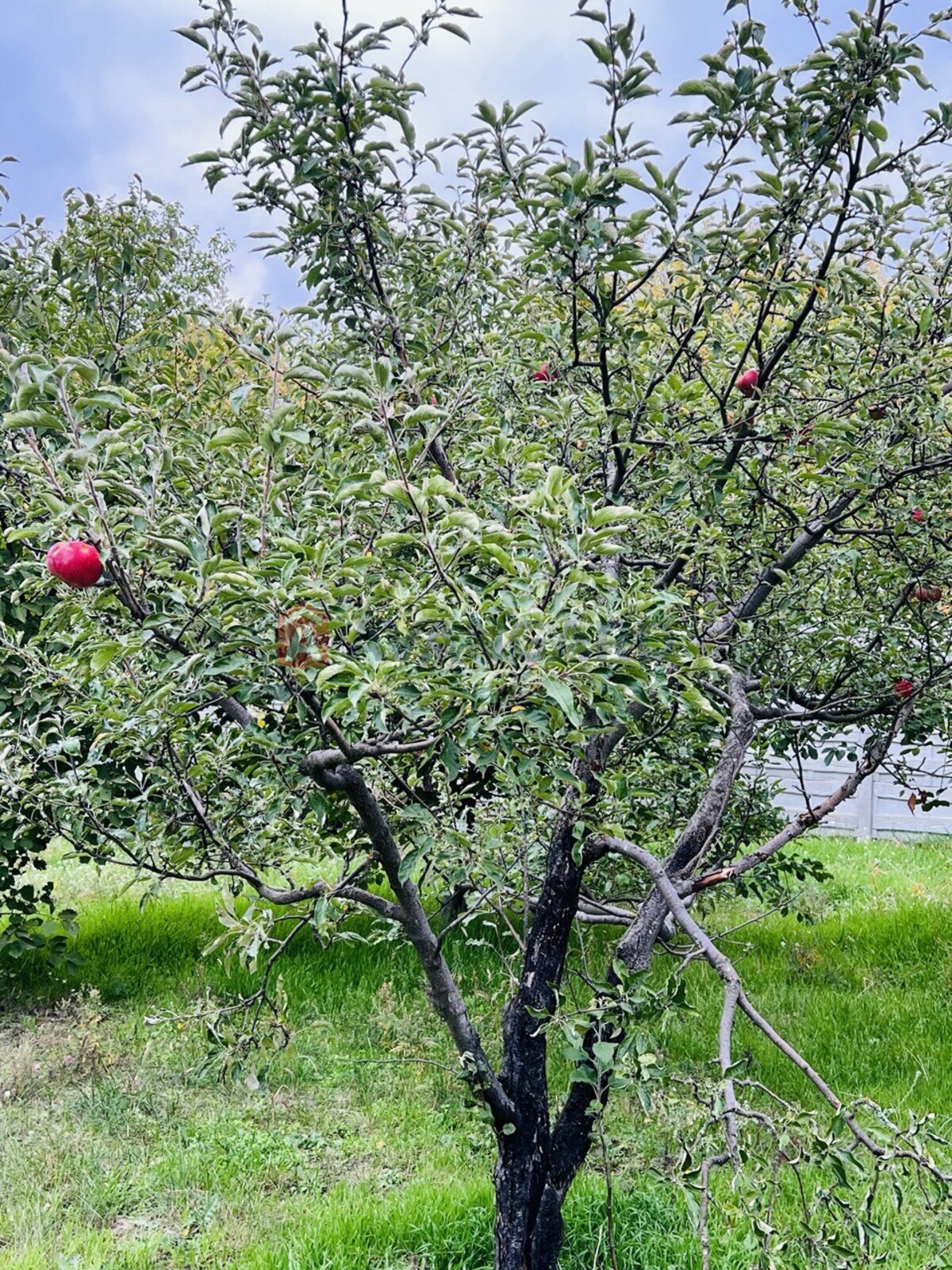 Будинок, 98 кв.м. фото 4 Будинок, 98 кв.м. фото 4