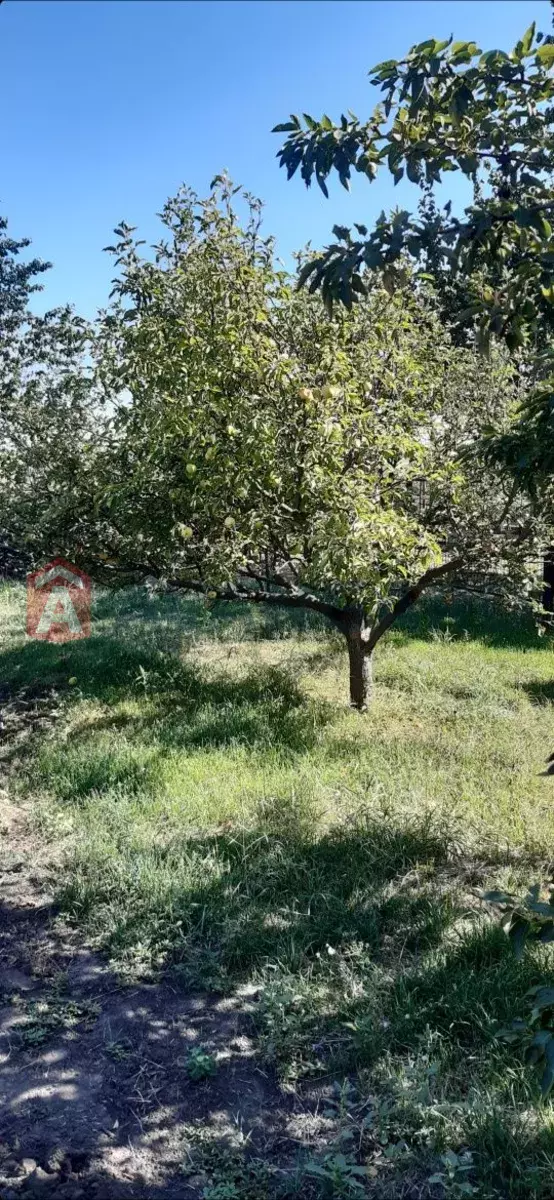 ����, 32 ��.�. ���� 2