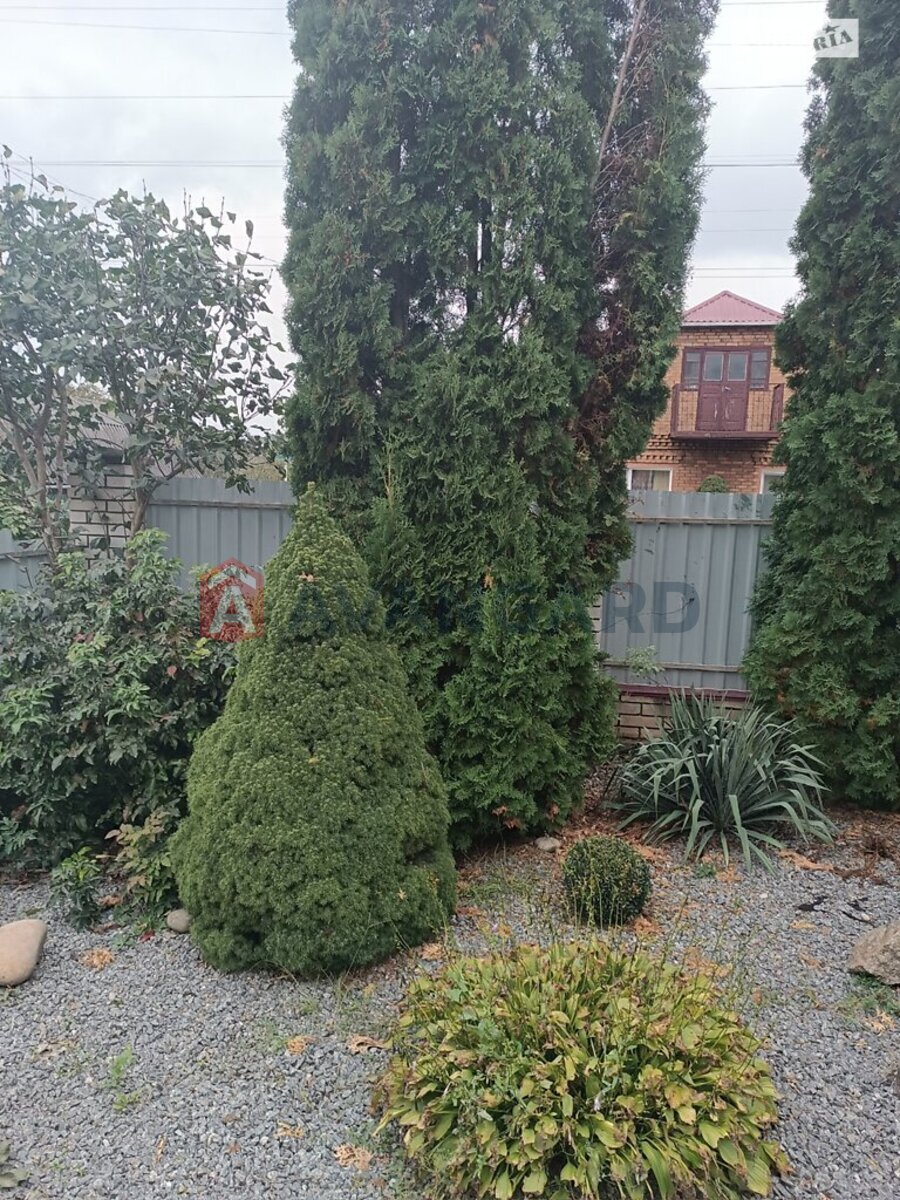 ���, 84 ��.�. ���� 19