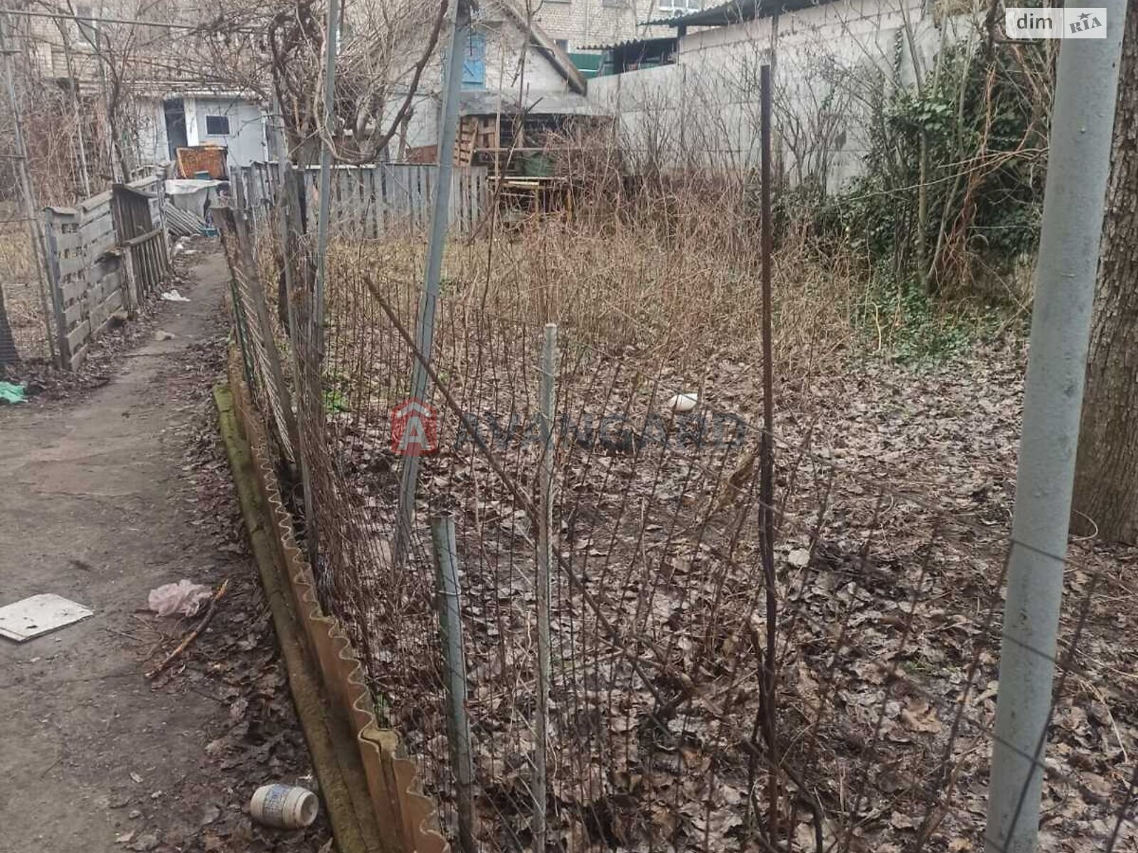 �������, 76 ��.�. ���� 3