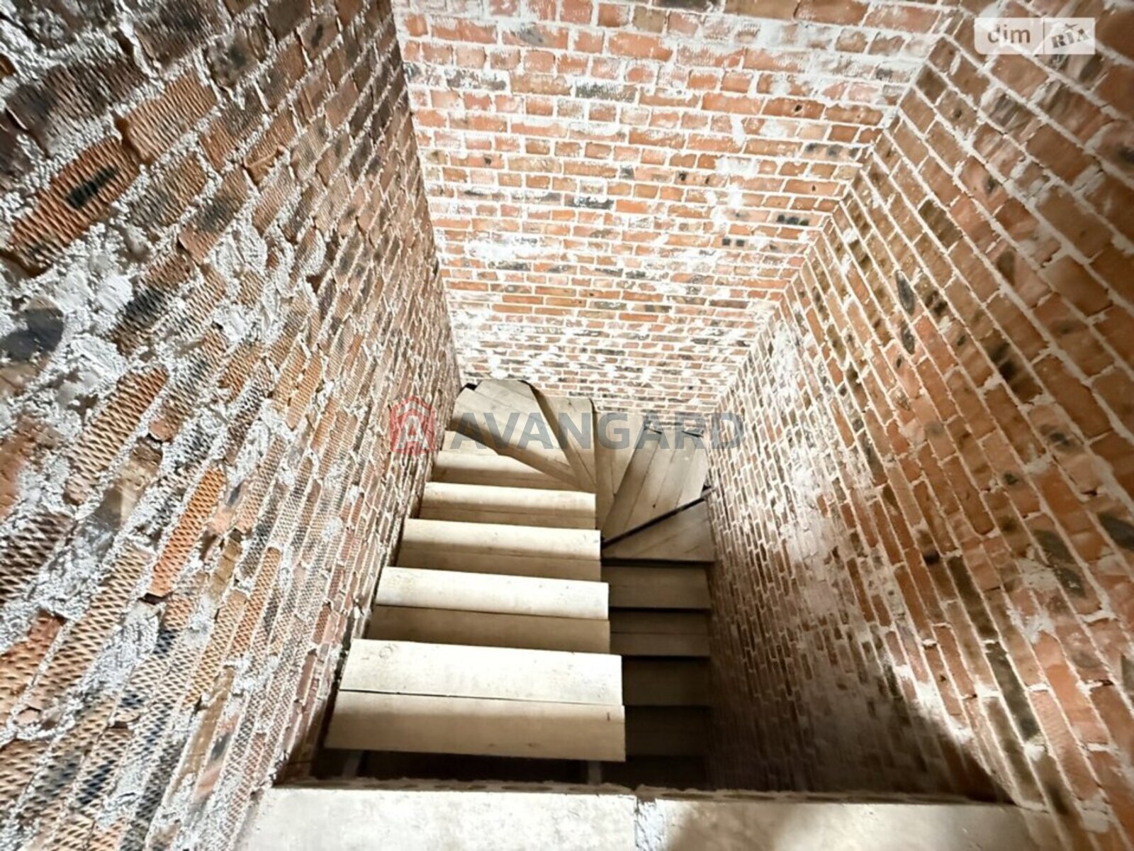 �������, 115 ��.�. ���� 11