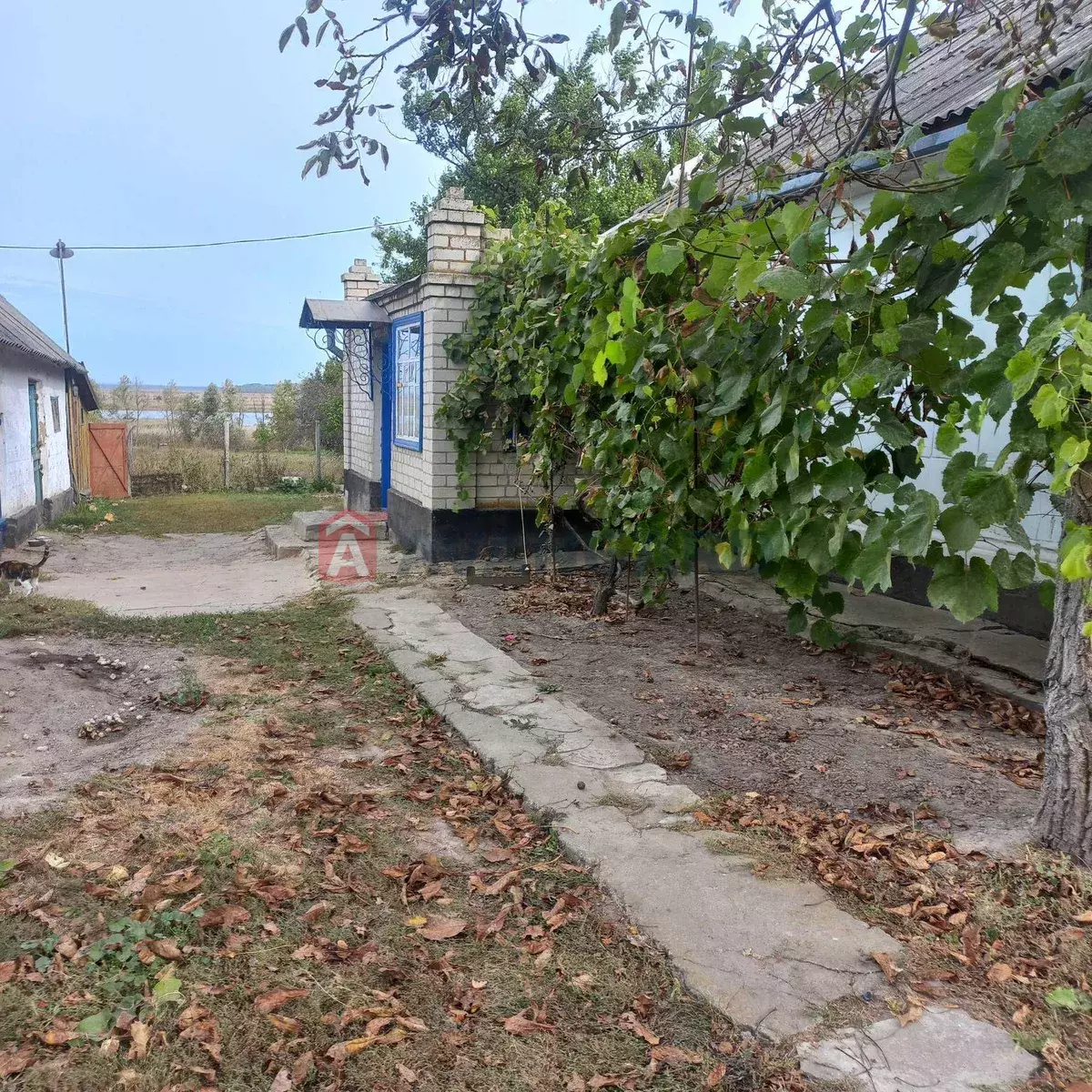 �������, 58 ��.�. ���� 21