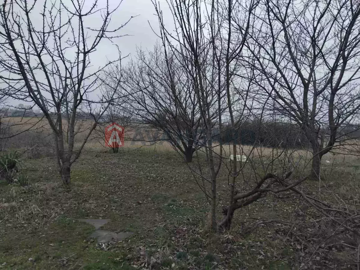 �������, 80 ��.�. ���� 5