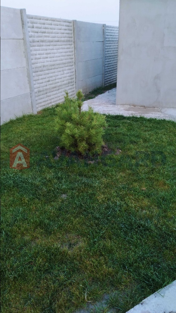 , 124 ..  1