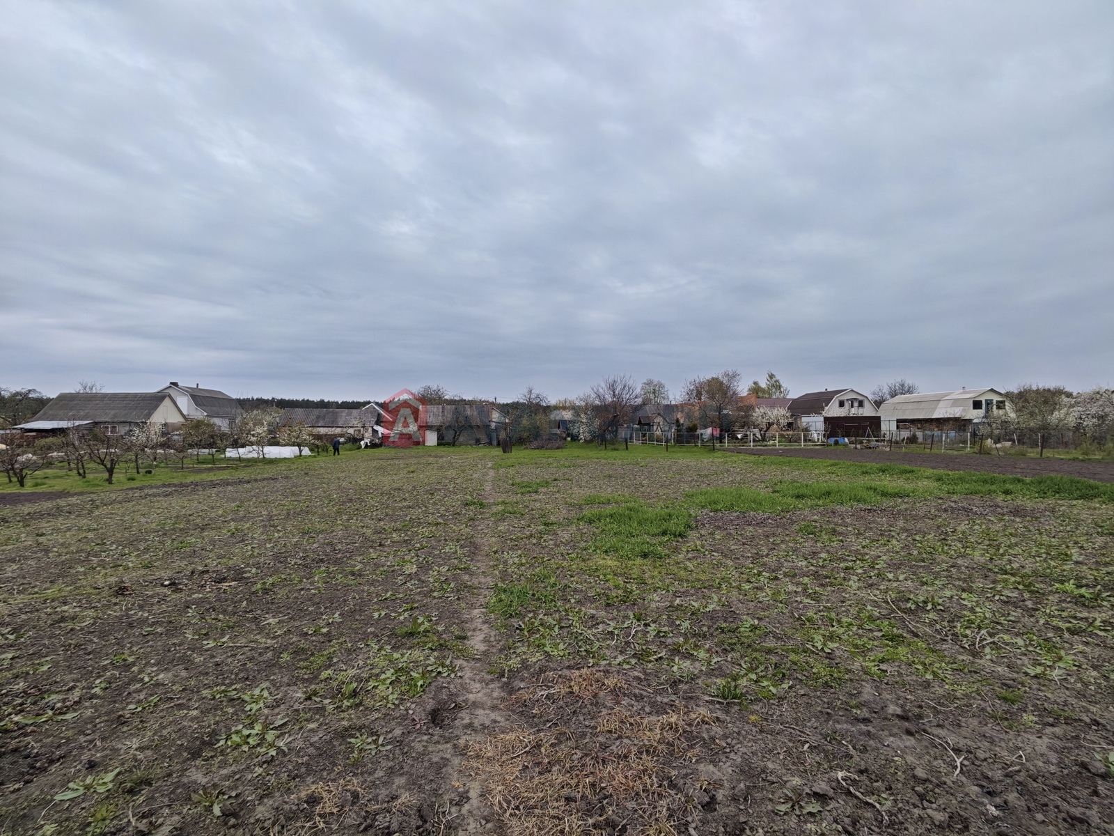 �������, 98 ��.�. ���� 12