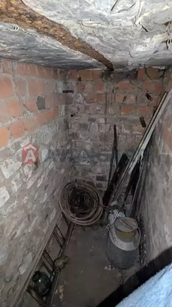 ����, 29 ��.�. ���� 5