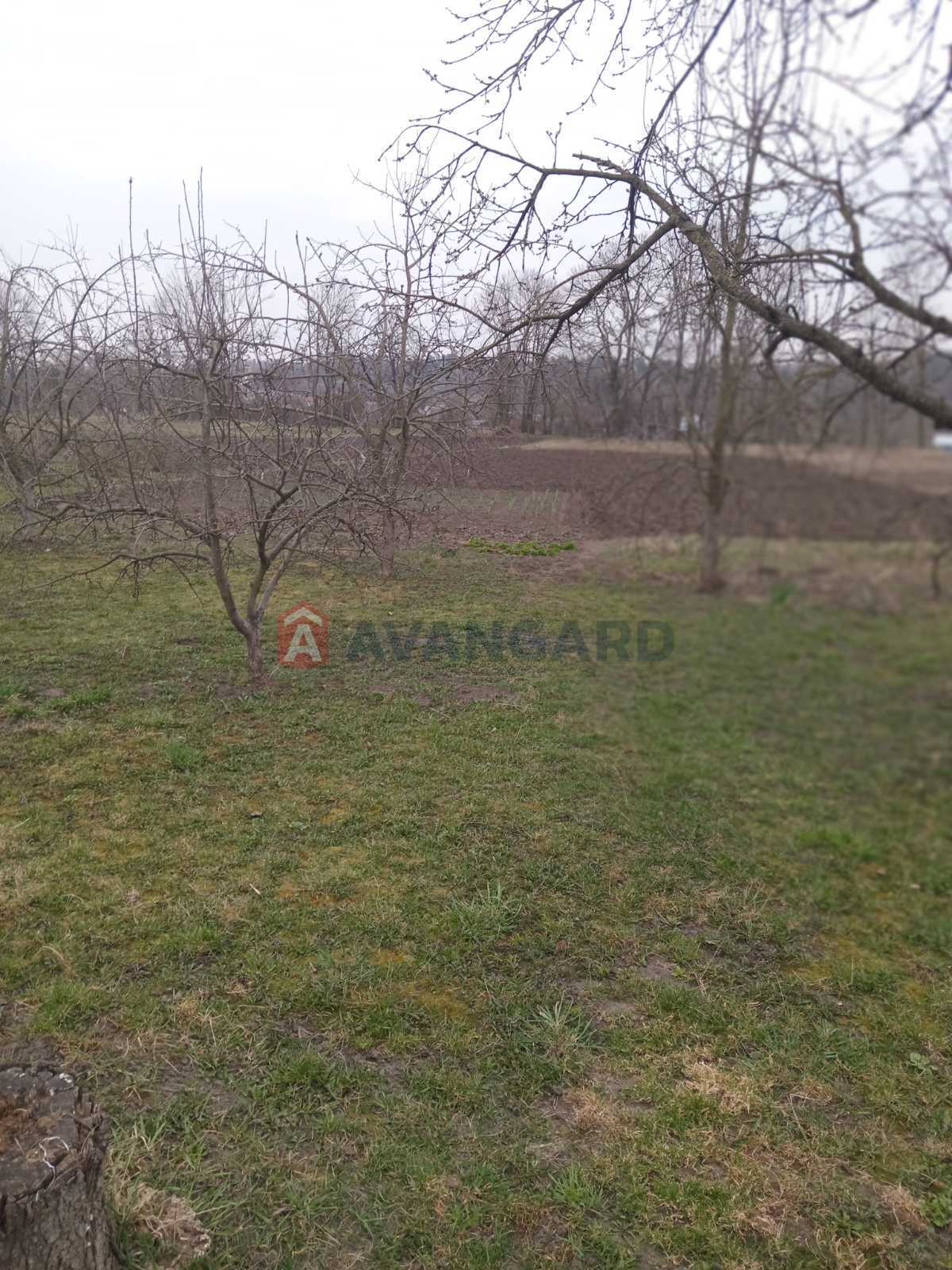 �������, 65 ��.�. ���� 29