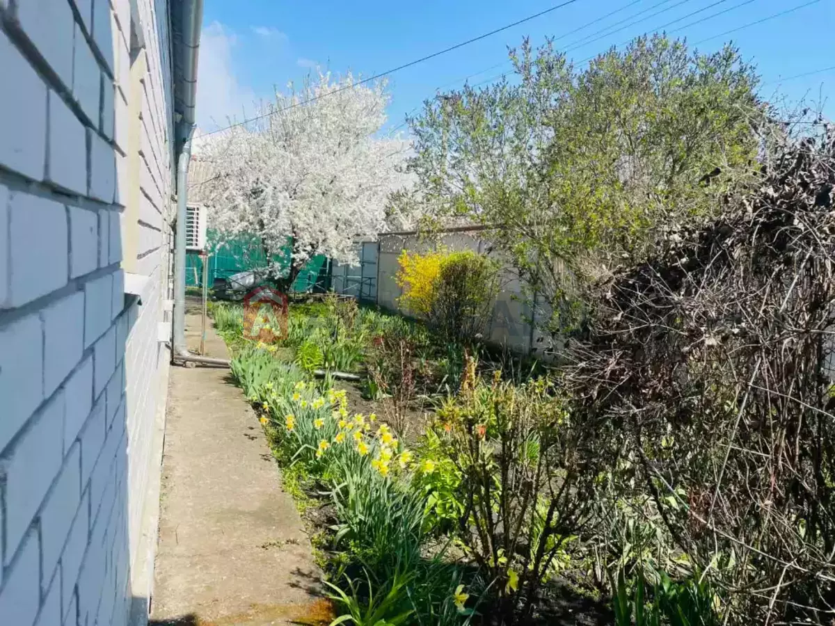 �������, 50 ��.�. ���� 12