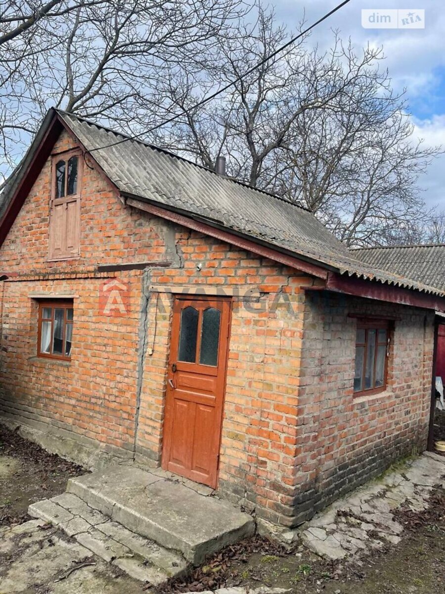 �������, 96 ��.�. ���� 14