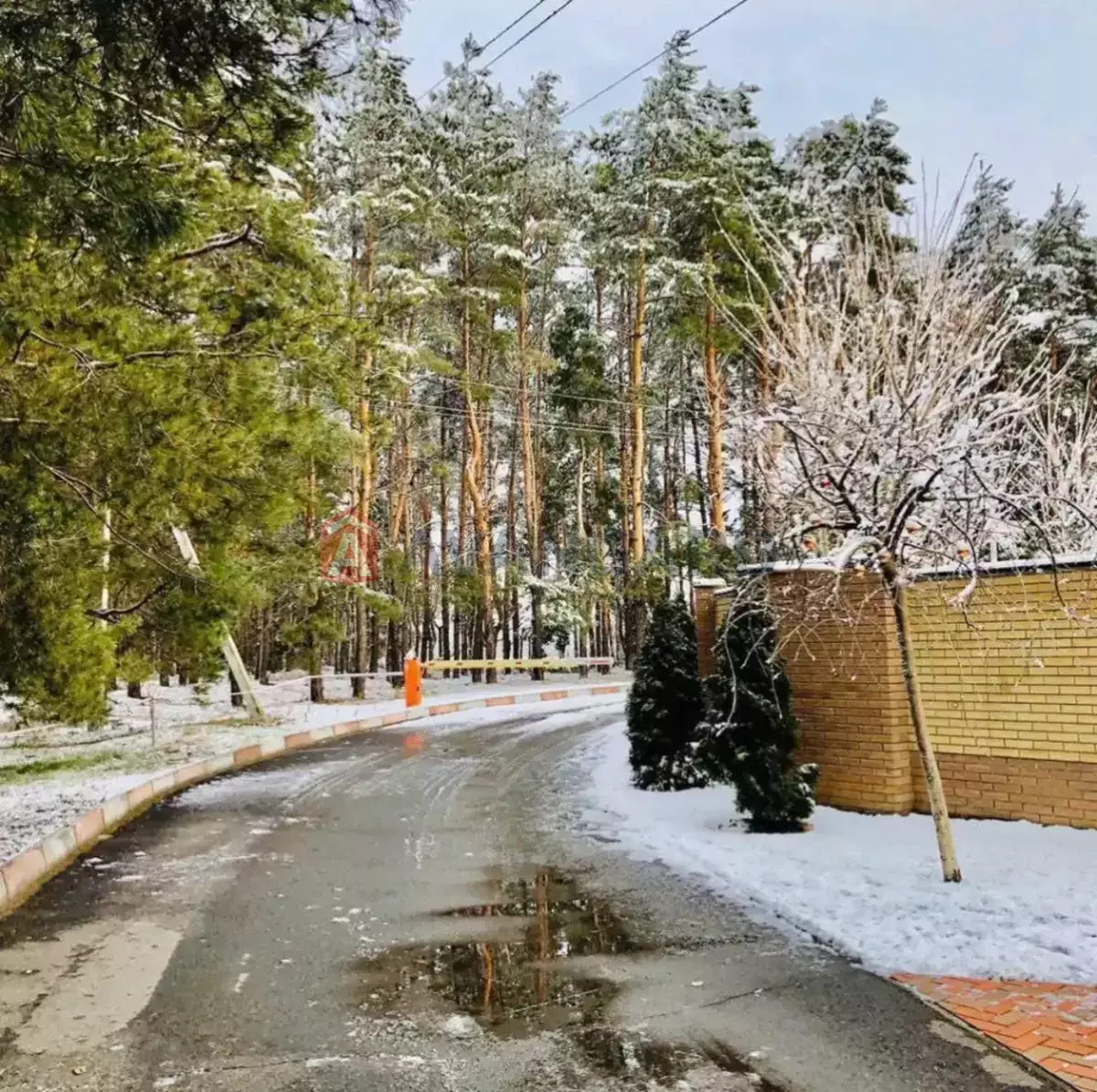 �������, 199 ��.�. ���� 29