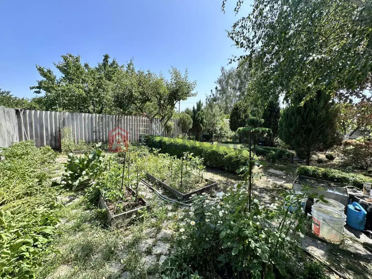 ����, 140 ��.�. ���� 15