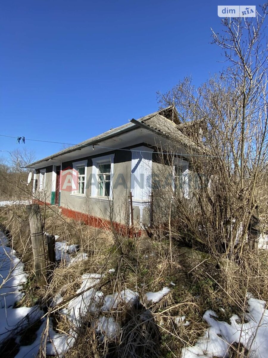 �������, 80 ��.�. ���� 17