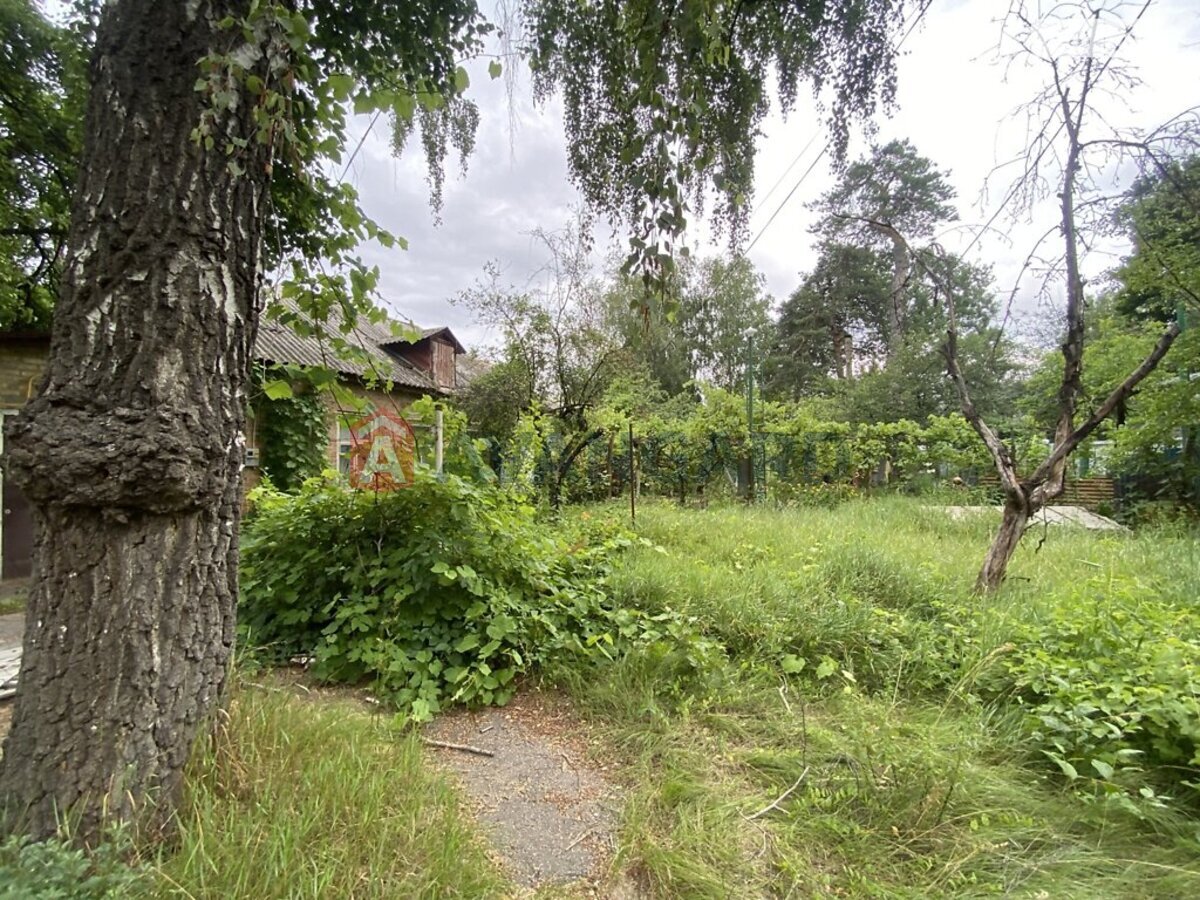 �������, 61 ��.�. ���� 1