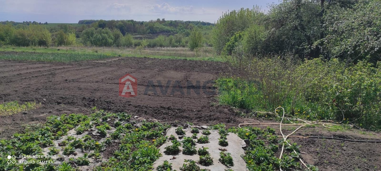 ���, 56 ��.�. ���� 10