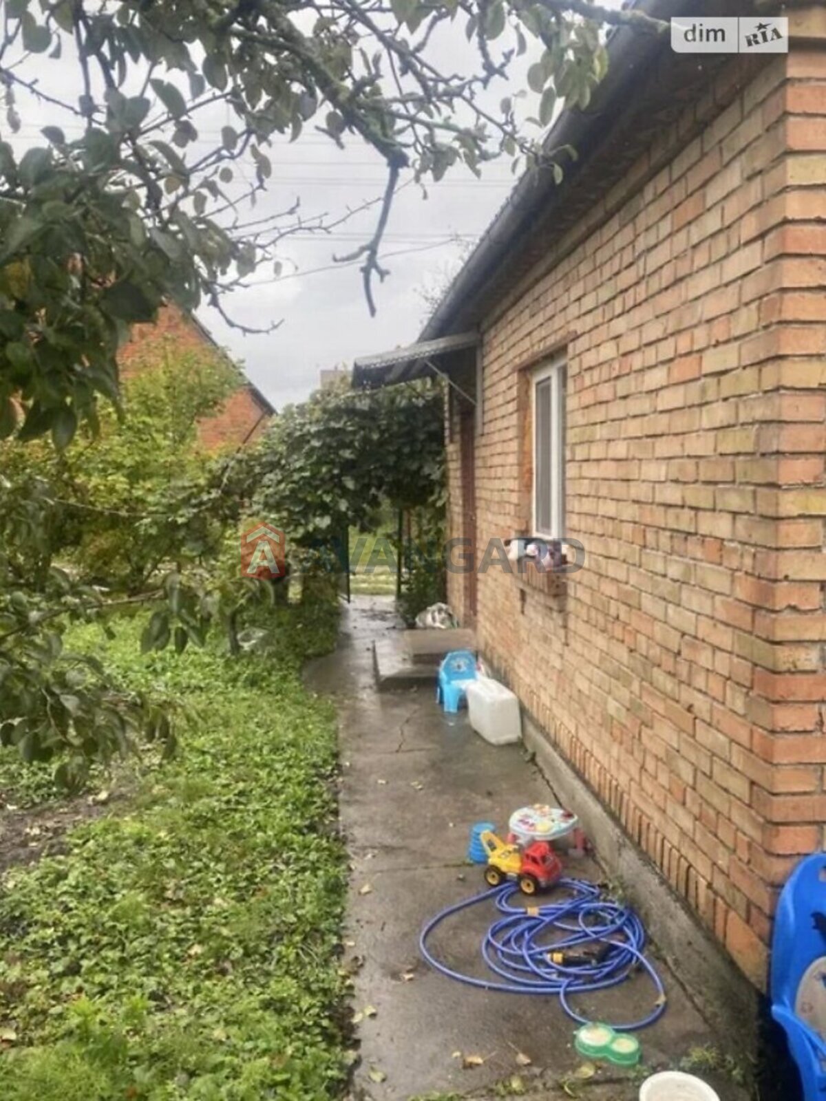 �������, 37 ��.�. ���� 3