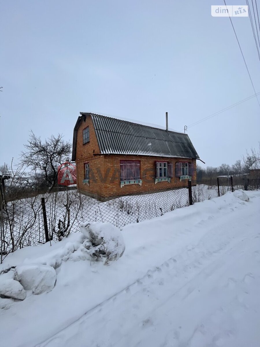 �������, 46 ��.�. ���� 1