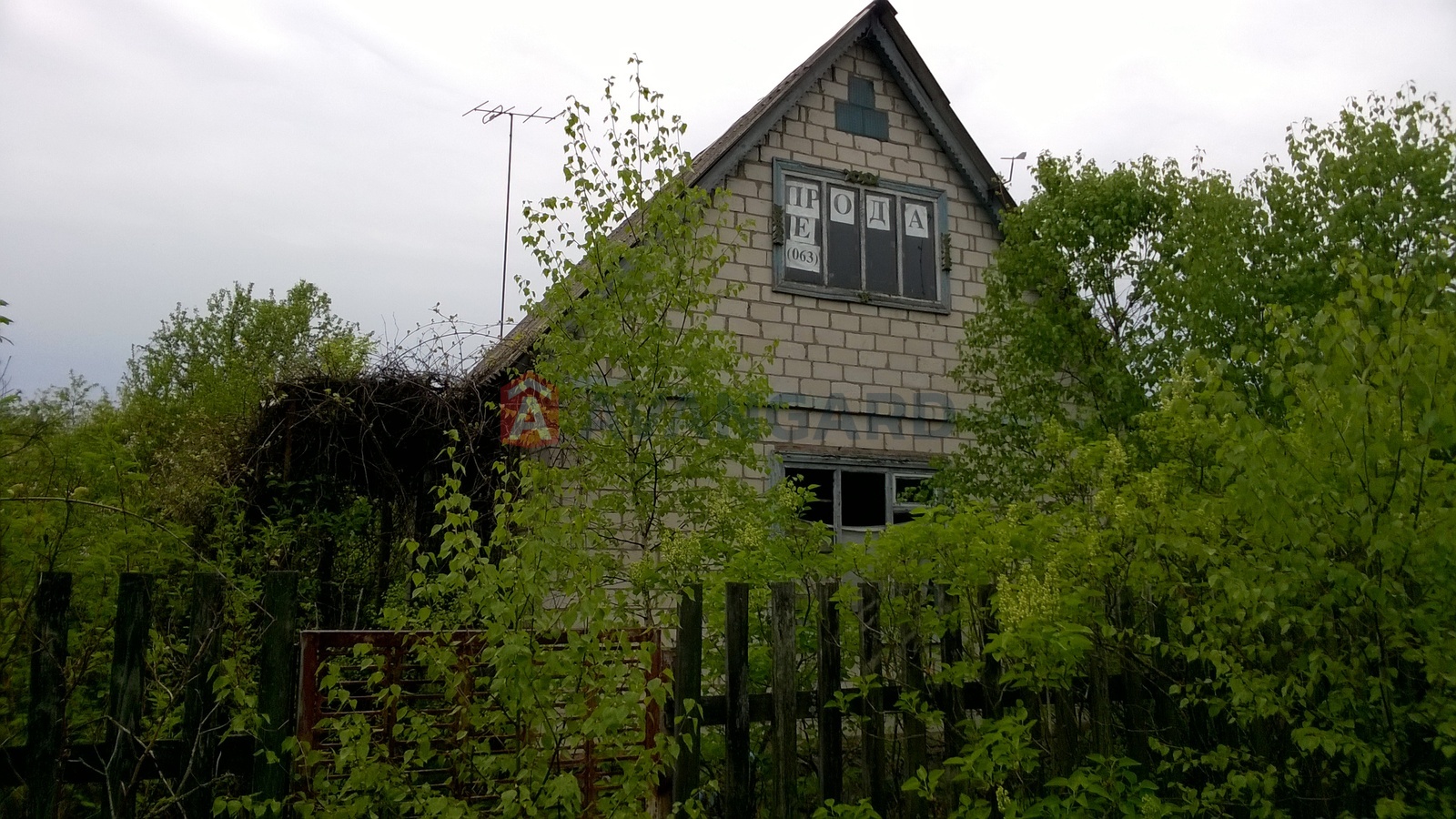 ����, 50 ��.�. ���� 24