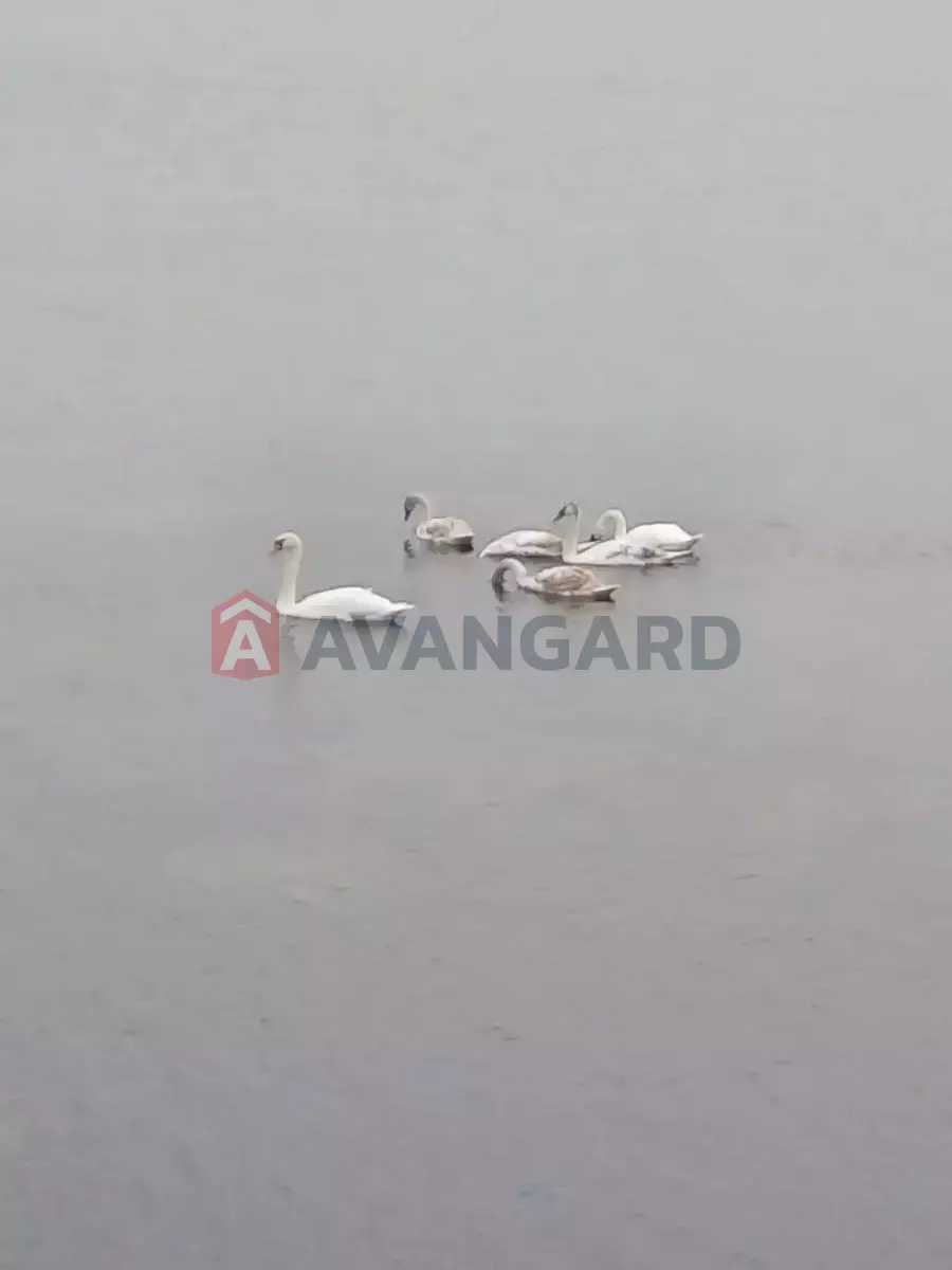 ���, 65 ��.�. ���� 23