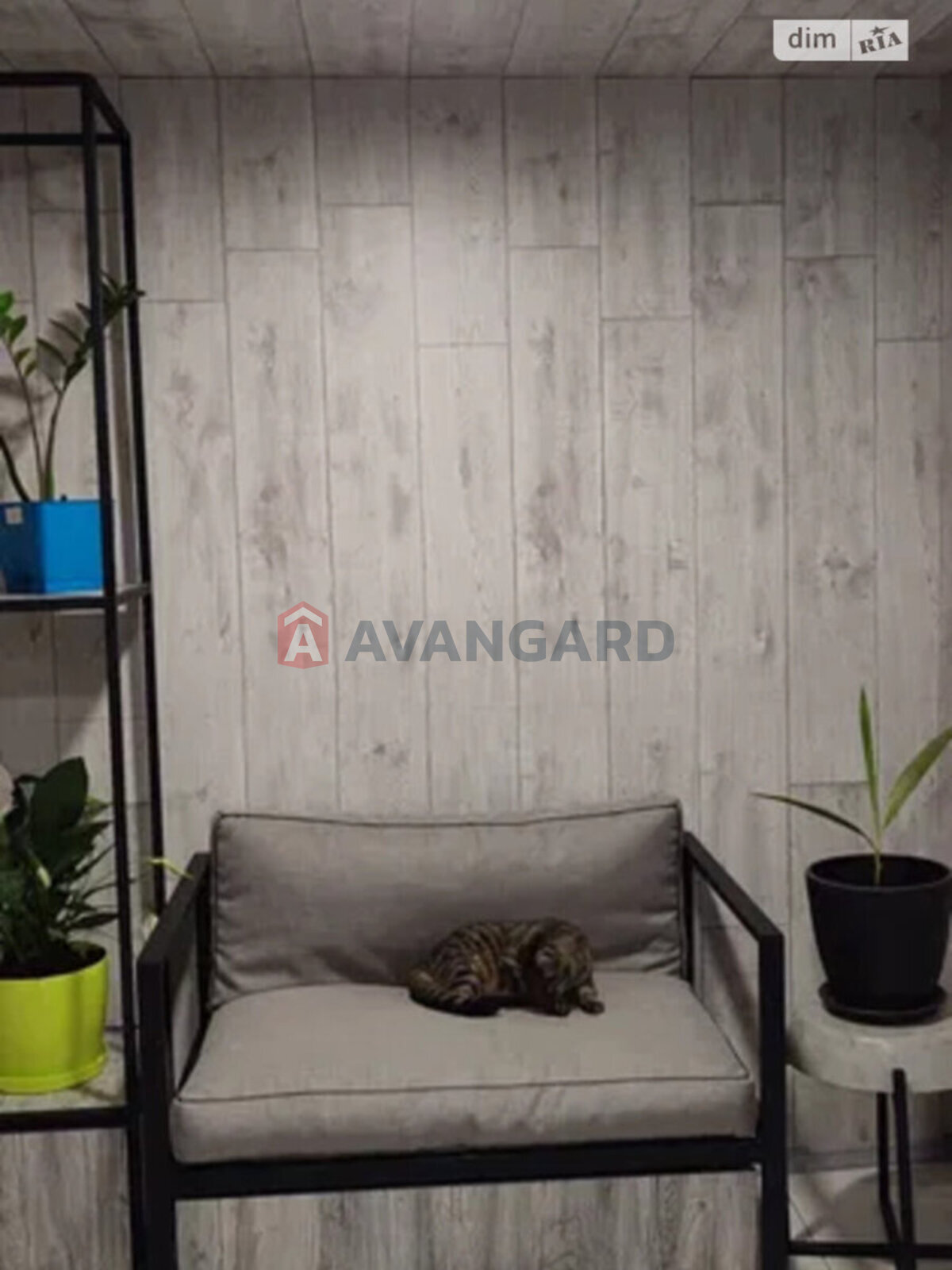 ��������, 77 ��.�. ���� 5