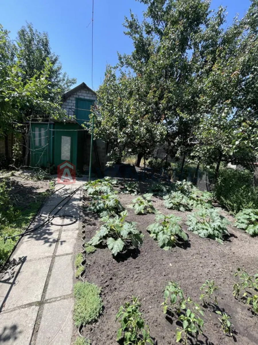 ������� �������, 40 ��.�. ���� 6