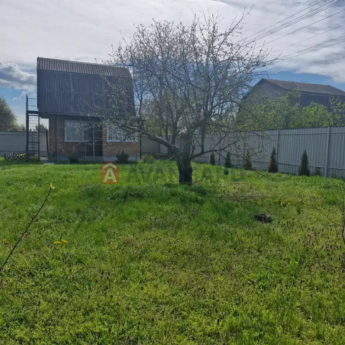 ����, 38 ��.�. ���� 3