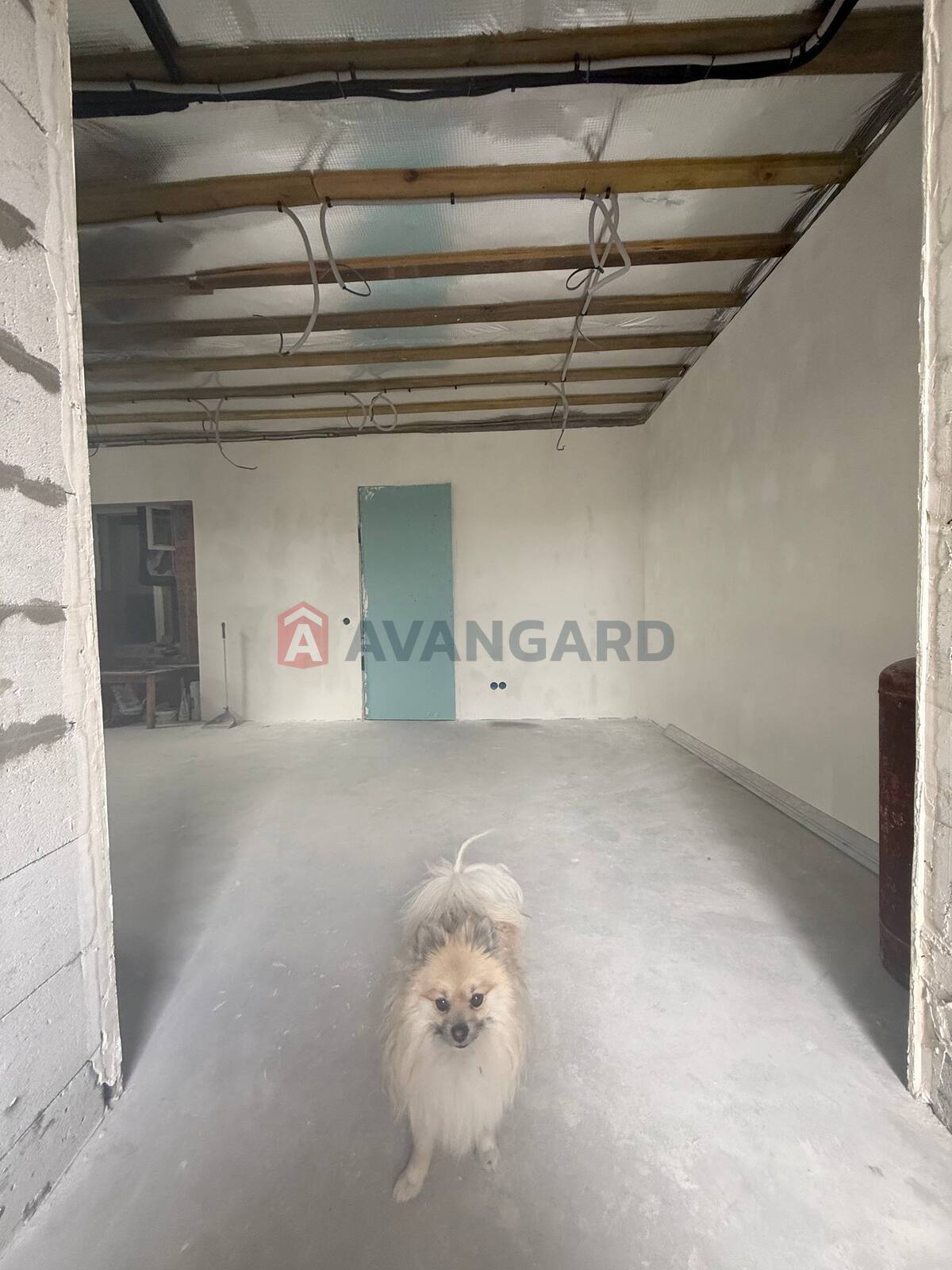 ���, 136 ��.�. ���� 10