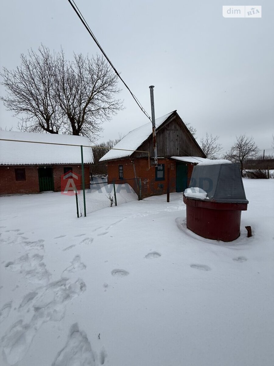 �������, 115 ��.�. ���� 2