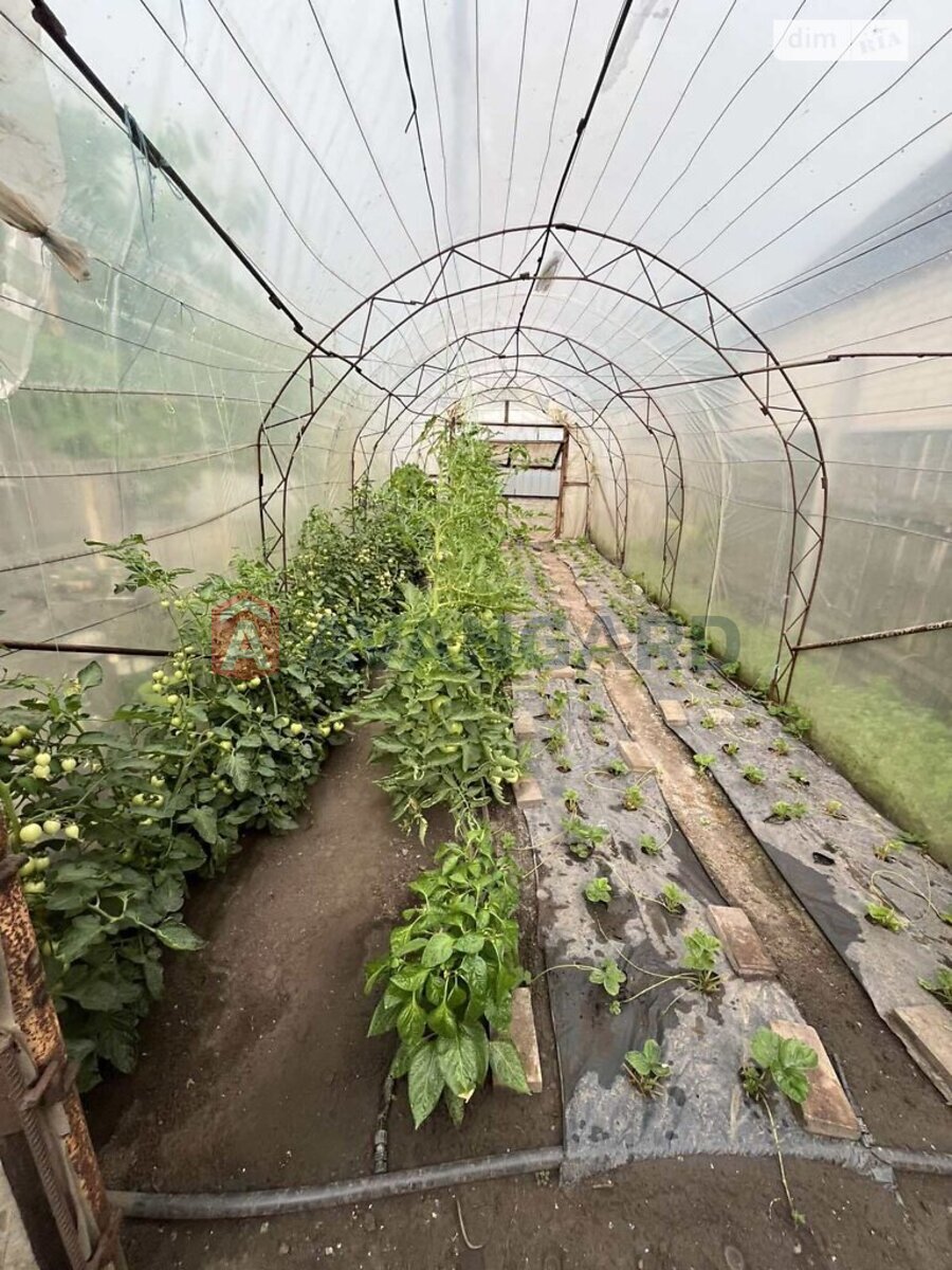 ���, 105 ��.�. ���� 2