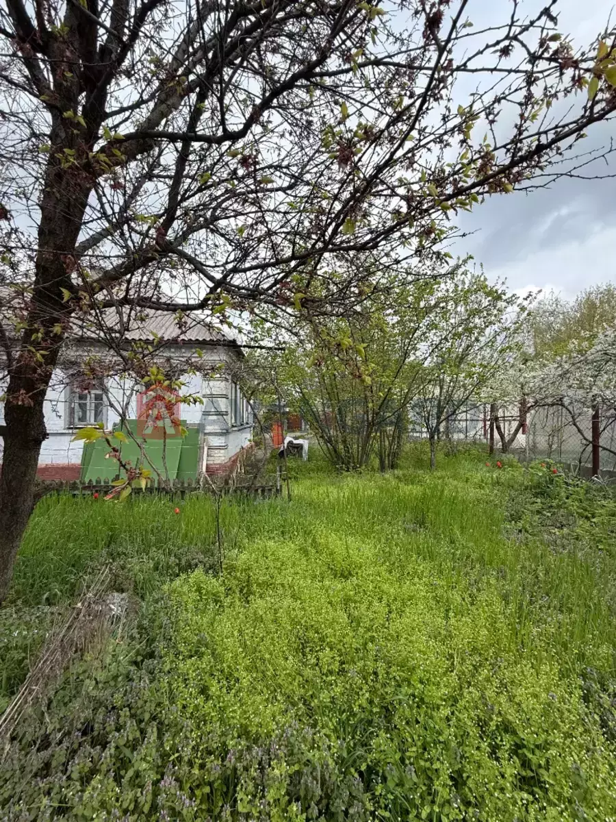 �������, 50 ��.�. ���� 5