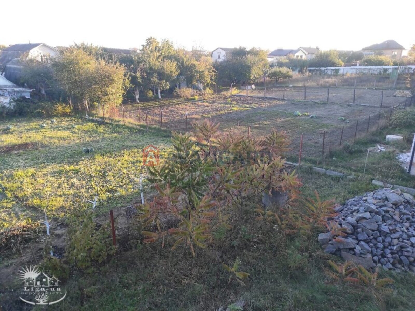 �������, 195 ��.�. ���� 23