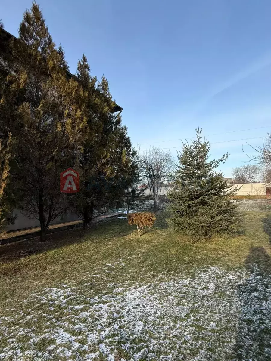 �������, 172 ��.�. ���� 8