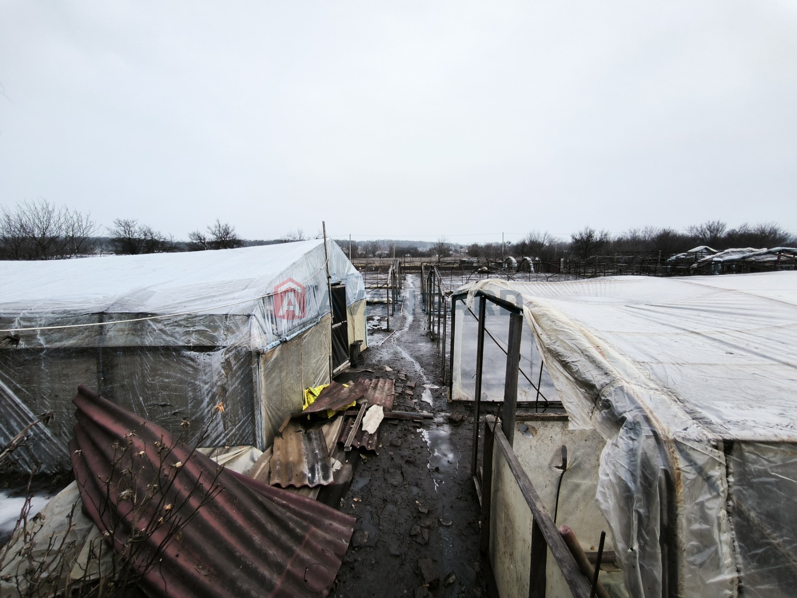 �������, 32 ��.�. ���� 5