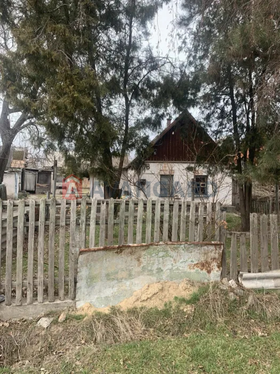 �������, 50 ��.�. ���� 6