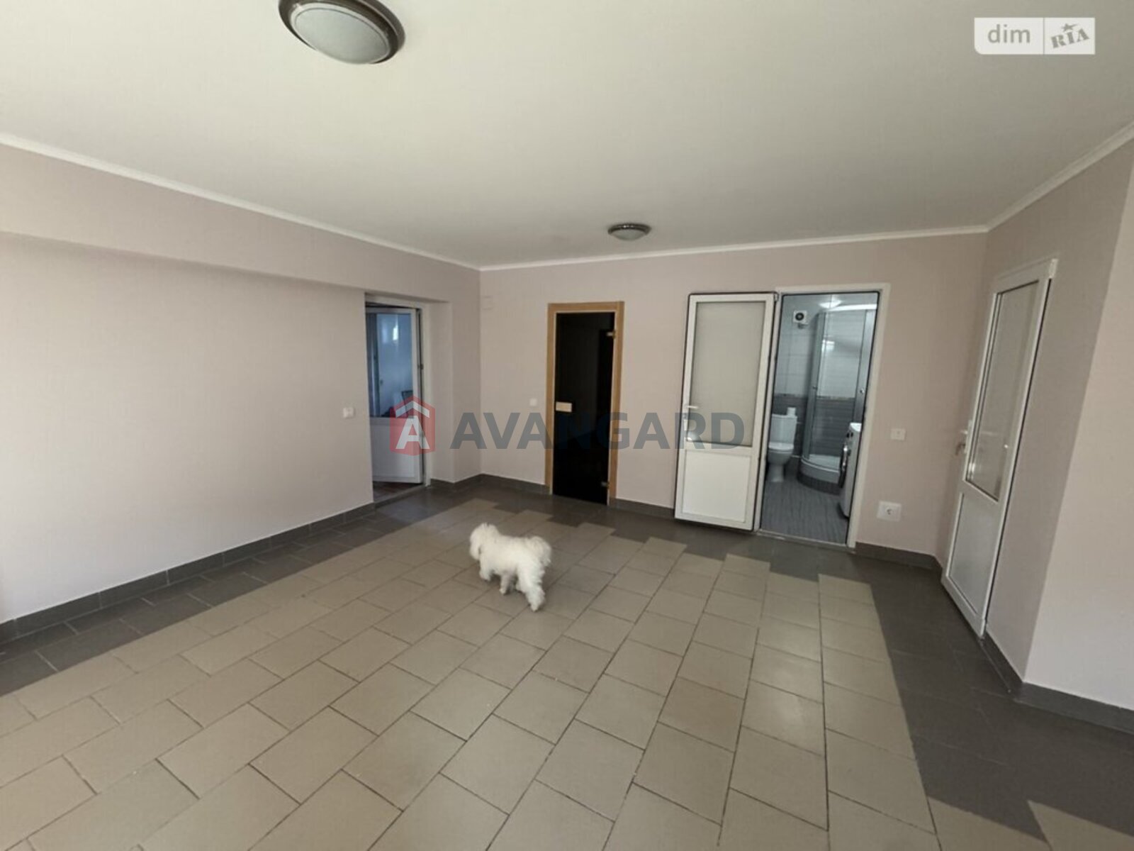 �������, 205 ��.�. ���� 8