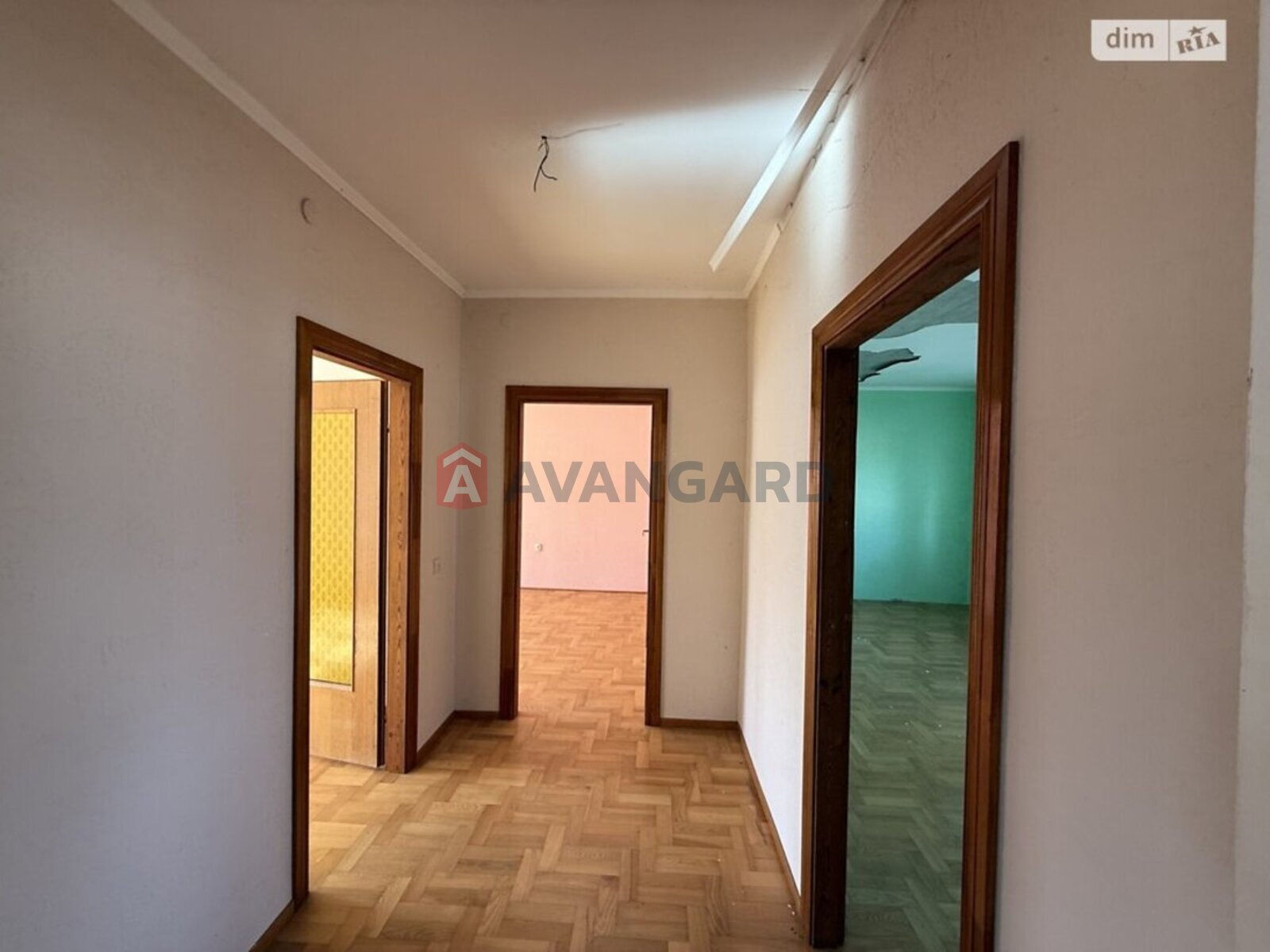 �������, 146 ��.�. ���� 3