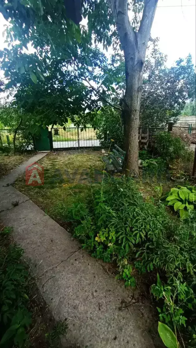 �������, 56 ��.�. ���� 3